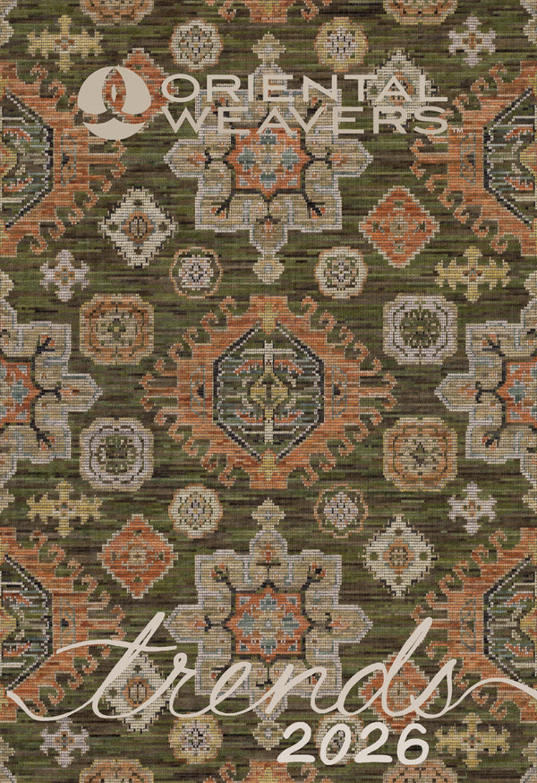 Descriptive text for the image