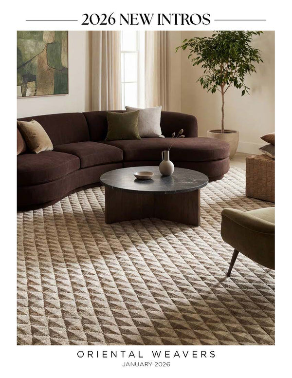 Descriptive text for the image