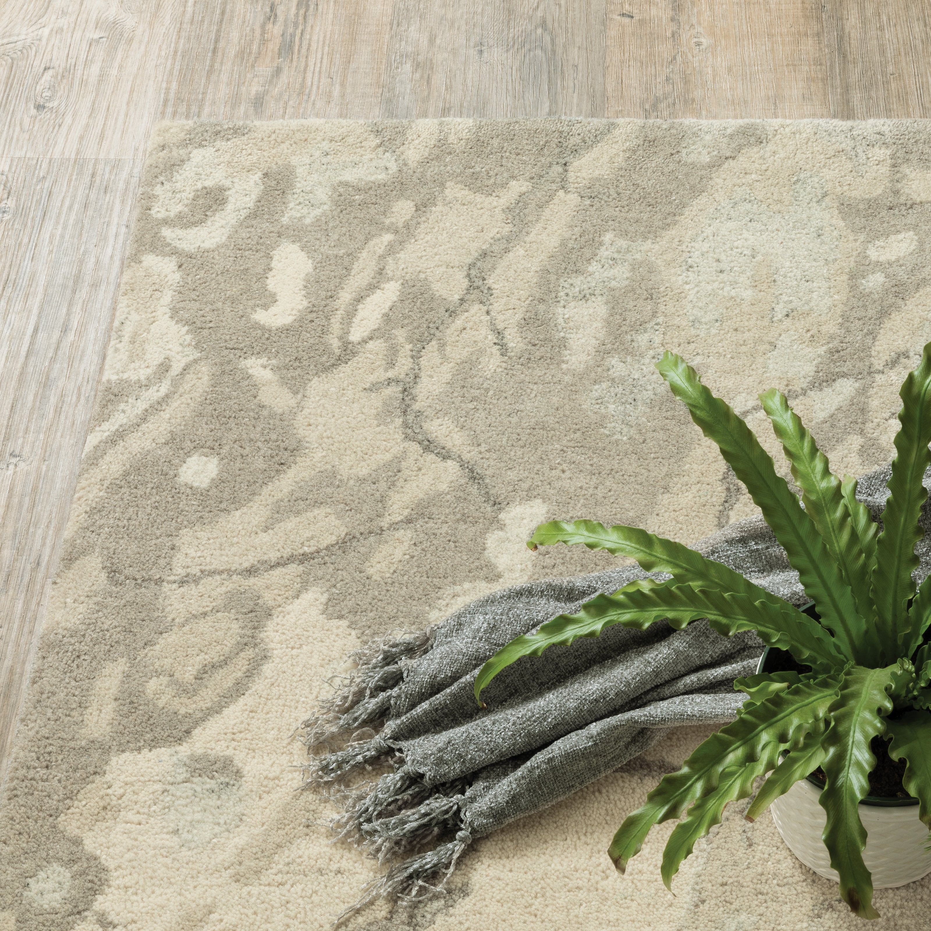Anastasia / 68008 – Oriental Weavers