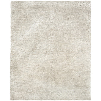 10' X 13' Area Rug