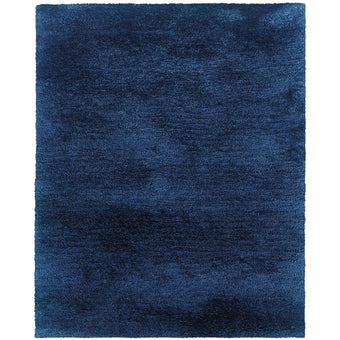 8' X 11' Area Rug