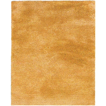 8' X 11' Area Rug