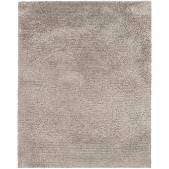8' X 11' Area Rug