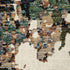 Evolution / 0981A