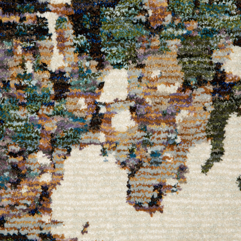 Evolution / 0981A