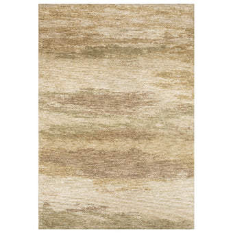 10' X 14' Area Rug