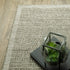 Tortuga / TR12A