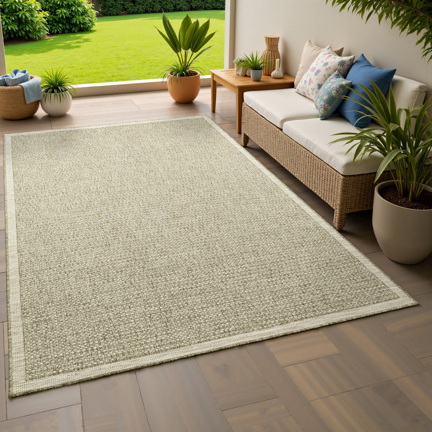 Tortuga / TR12A
