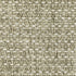 Tortuga / TR12A
