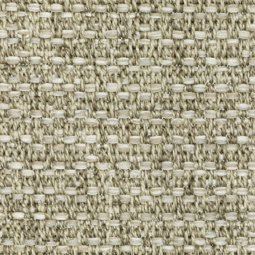 Tortuga / TR12A